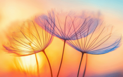 Wysoka wrażliwość u Dziecka- jak je wspierać w przedszkolu i w domu