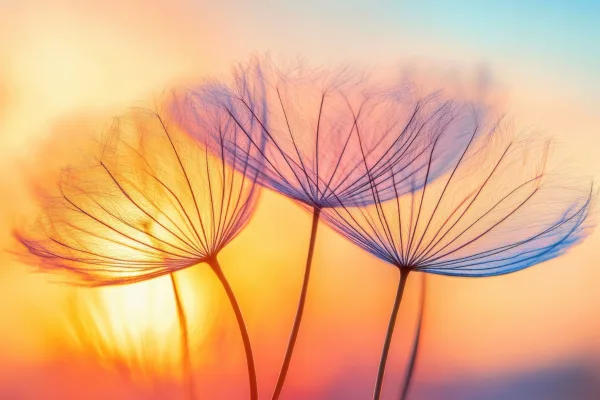 wysoka wrażliwość u dziecka